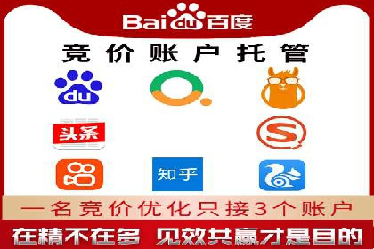 SEM竞价托管代运营助力转化率提升