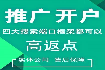 专业SEM托管：企业广告投放的明智之选