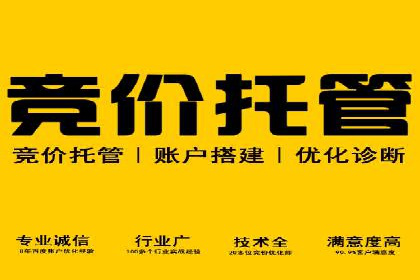 SEM托管公司成功案例：助力企业腾飞